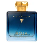 Roja Parfums Elysium Pour Homme parfémovaná voda pro muže 100 ml