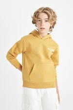 DEFACTO Boys Yellow Letter Printed Pocket Hooded Thick School Sweatshirt