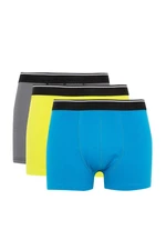 DEFACTO Regular Fit 3-pack Boxer