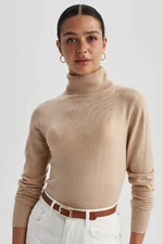 DEFACTO Regular Fit Turtleneck Basic Knitwear Sweater