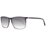 Hugo Boss Sunglasses