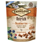 CARNILOVE Dog crunchy snack ostrich&blackberries 200 g