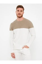 LC Waikiki Crew Neck Long Sleeve Color Block Men's Knitwear Sweater