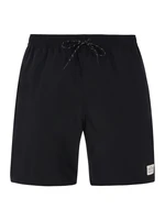 Men's beach shorts Protest PRTBAKY