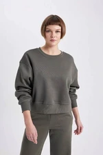 DEFACTO Boxy Fit Crew Neck Thick Basic Plain Sweatshirt B8568ax24wn