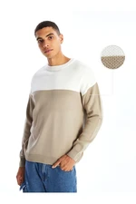 LC Waikiki Crew Neck Long Sleeve Color Block Men's Knitwear Sweater