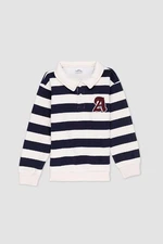 DEFACTO Boy's Polo Neck Striped Embroidered Sweatshirt