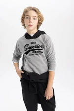 DEFACTO Boy&#39;s Printed Hooded Thick Sweatshirt