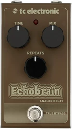 TC Electronic Echobrain Analog Delay Effet guitare