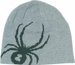 Spyder Mens Reversible Innsbruck Hat Cypress Green UNI Căciulă