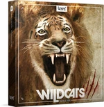 BOOM Library Wildcats (Produit numérique)