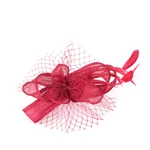 Art Of Polo Woman's Fascinator cz22170