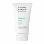 ANNEMARIE BORLIND Čisticí gel PURIFYING CARE System Cleansing (Clarifying Cleansing Gel) 150 ml