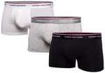 3PACK pánské boxerky Tommy Hilfiger vícebarevná