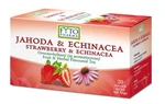 Fytopharma Ovocno-bylinný čaj jahoda & echinacea 20x2 g