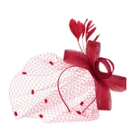 Art Of Polo Woman's Fascinator cz22171