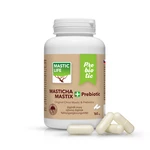 Masticlife Masticha Prebiotic 160cps