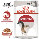 Royal Canin Pouch Instinctive Gravy - 85g