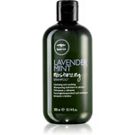 Paul Mitchell Tea Tree Lavender Mint hydratačný a upokojujúci šampón pre suché a nepoddajné vlasy 300 ml