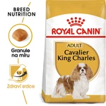 Royal Canin KAVALIER KING CHARLES - 1,5kg