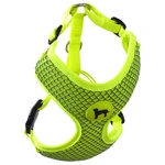 Postroj Active Dog Mellow M limetka 1,5x40-55cm