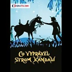 Václav Voska – Co vyprávěl strom Kandalí DVD