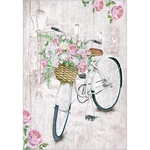 Koberec Vitaus Bike, 80 x 120 cm