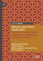 Business, Government and the SDGs