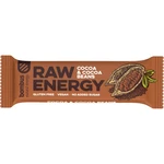 Bombus Raw Energy ovocná tyčinka príchuť Cocoa & Cocoa Beans 50 g