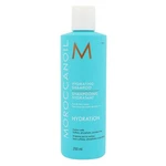 Moroccanoil Hydration 250 ml šampon pro ženy na všechny typy vlasů