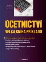 Účetnictví – Velká kniha příkladů - e-kniha