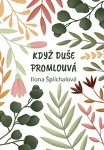 Když duše promlouvá - Šplíchalová Ilona