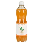 Kombucha zázvorová s medovkou 500 ml BIO   STEVIKOM