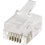 RJ45 konektor econ connect MPL66 - zástrčka, rovná RJ12 čirá, 1 ks