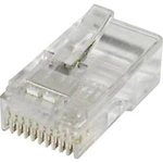 Modulární zástrčka, rovná RJ48 econ connect MPL10/10 počet pólů: 10, čirá, 1 ks