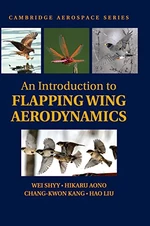 An Introduction to Flapping Wing Aerodynamics