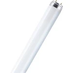 Zářivka Osram, 18 W, G13, 590 mm, studená bílá