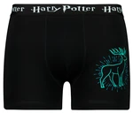 Men's boxer Harry Potter - Frogies