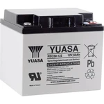 olovený akumulátor Yuasa REC50-12 YUAREC5012, 50 Ah, 12 V