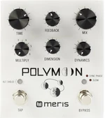 Meris Polymoon Effetti Chitarra