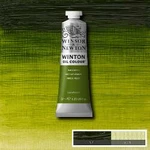 Olejová barva Winton 37ml – 599 sap green