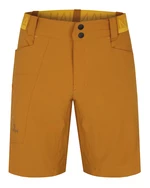 Men's shorts Hannah NAIRI II buckthorn brown