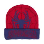 HAT PUNTO JACQUARD SPIDERMAN