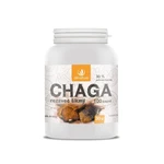 Allnature Chaga Rezavec šikmý 100 kapslí