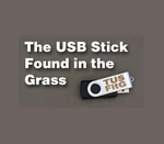 The USB Stick Found in the Grass Steam CD Key