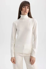 DEFACTO Regular Fit Turtleneck Pullover