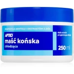 Apteo Koňská mast s chladivým účinkem gel s chladivým účinkem 250 ml