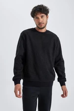 DEFACTO Regular Fit Crew Neck Basic Plain Plush Sweatshirt