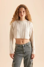 DEFACTO Cool Regular Fit Crew Neck Knitted Sweater