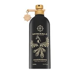 Montale Oudrising parfémovaná voda unisex 100 ml